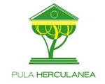 herculanea logo